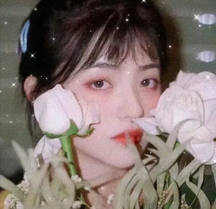 我的掌门女友第二季