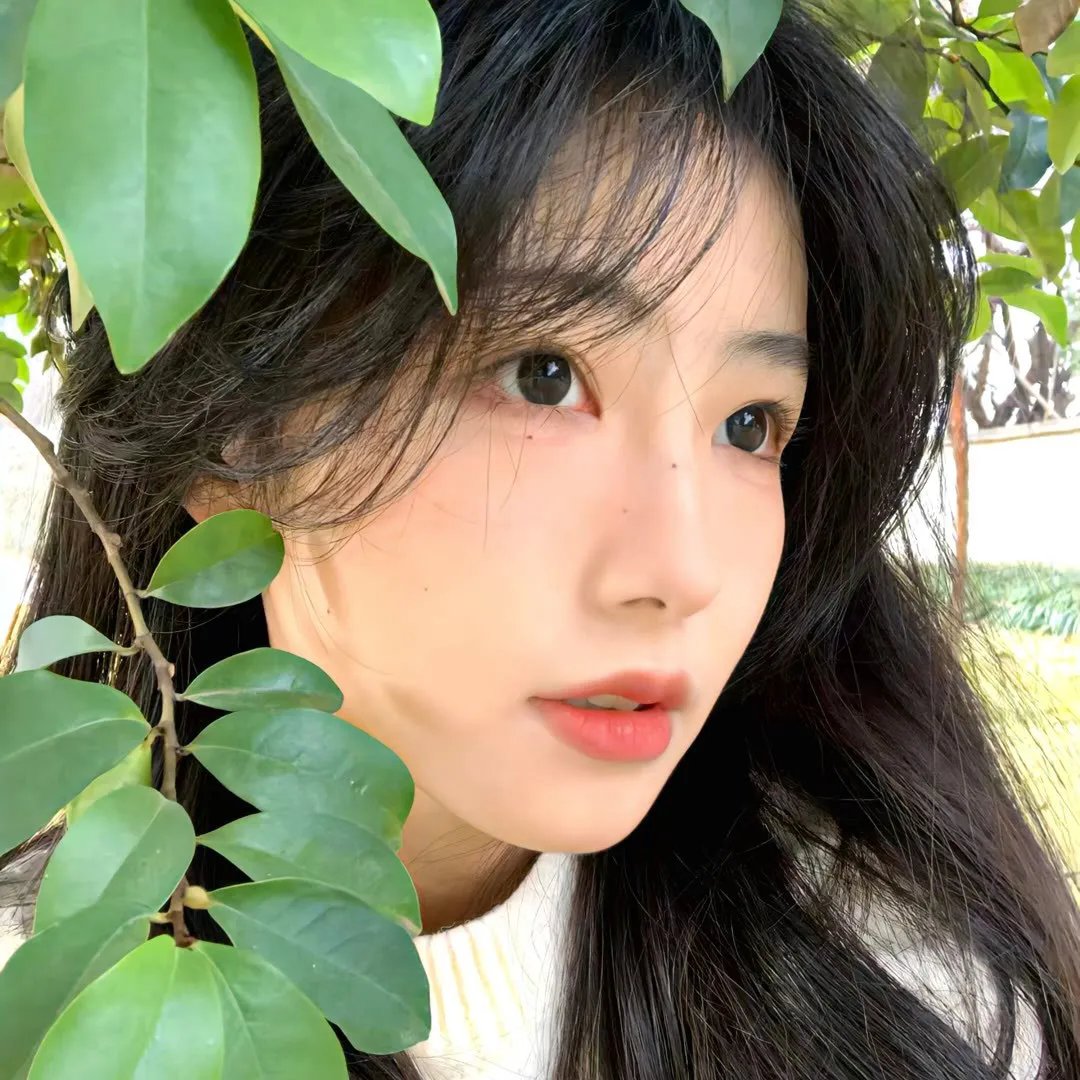 内森的王国